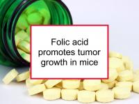 Folic acid promotes tumor growth in mice