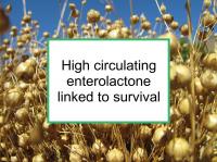 High enterolactone linked to survival