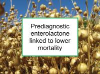 Prediagnostic enterolactone linked to survival