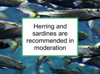 Herring and sardines are recommended in moderation
