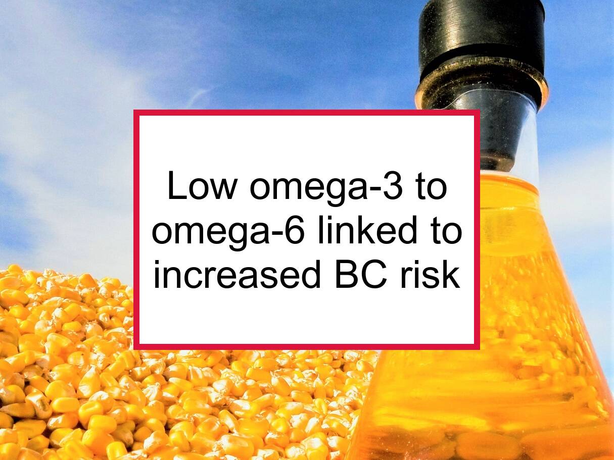 Low Omega 3 To Omega 6 Ratio Linked To Increased BC Risk