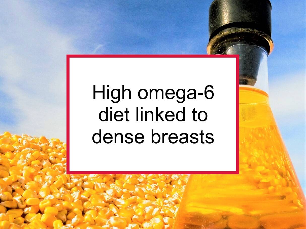 High Dietary Omega 6 To Omega 3 Fat Ratio May Increase Breast