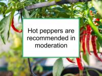 Hot peppers are recommended in moderation