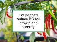 Hot peppers reduce BC cell growth and viability