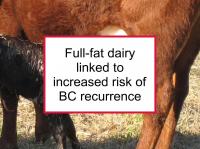 Full-fat dairy linked to increased recurrence