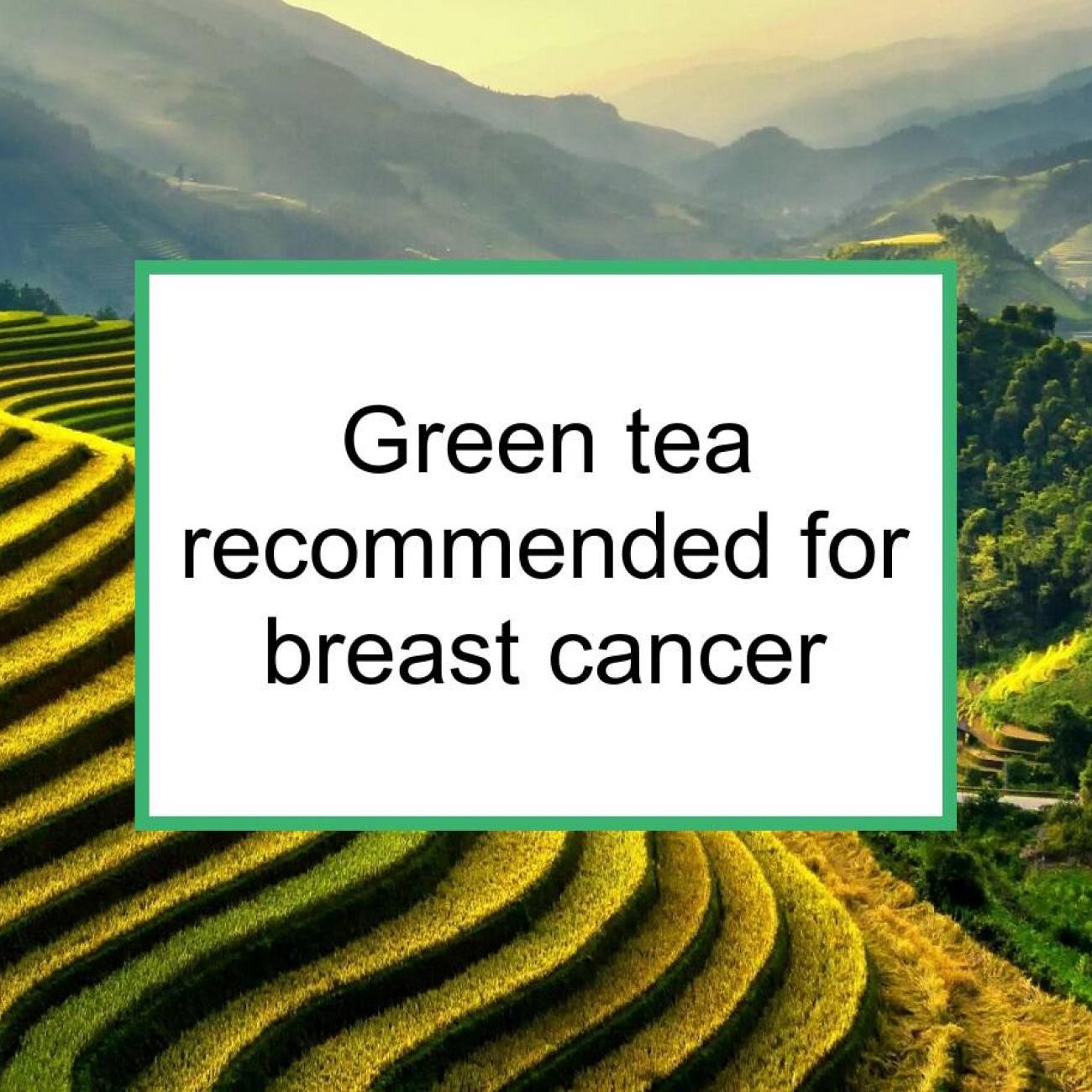 List of plants and other compounds in prevention of breast cancer