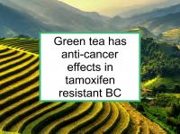 Green tea helpful in tamoxifen resistant BC