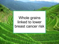 Whole grains linked to lower breast cancer risk
