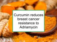 Curcumin reduces Adriamycin resistance