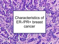Characteristics of ER-/PR+ breast cancer
