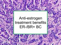 Anti-estrogen treatment benefits ER-/BR+ BC