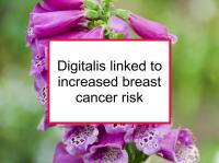 Digitalis linked to increased BC risk
