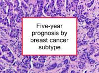 Five-year prognosis by breast cancer subtype