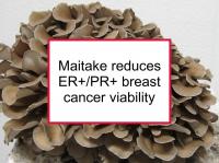 Maitake reduces ER+/PR+ viability