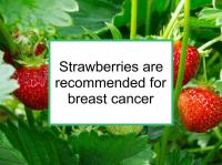 Strawberries are recommended for breast cancer