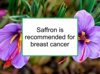Saffron is recommended for breast cancer in moderation