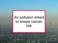 Air pollution linked to breast cancer risk
