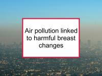 Air pollution linked to harmful breast changes