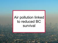 Air pollution linked to reduced BC survival