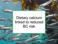 Calcium linked to reduced BC risk