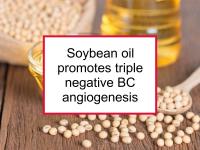 Soybean oil promotes triple negative BC angiogenesis