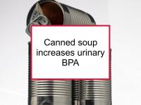 Canned soup increases urinary BPA