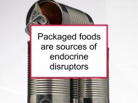 Packaged foods have endocrine disruptors