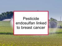 Pesticide endosulfan linked to breast cancer