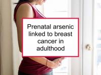 Prenatal arsenic linked to BC in adulthood