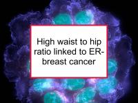 High waist to hip ratio linked to ER- breast cancer