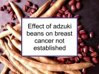 Effect of adzuki beans on breast cancer not established