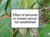 Effect of almonds not established