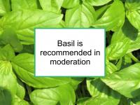 Basil is recommended for breast cancer in moderation