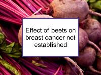 Effect of beets on breast cancer not established