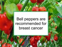 Bell peppers are recommended for breast cancer