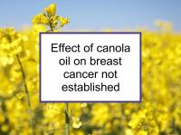 Effect of canola oil on breast cancer not established