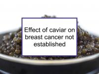 Effect of caviar on breast cancer not established