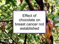 Effect of chocolate on breast cancer not established