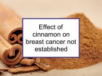 Effect of cinnamon on breast cancer not established