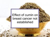 Effect of cumin on breast cancer not established