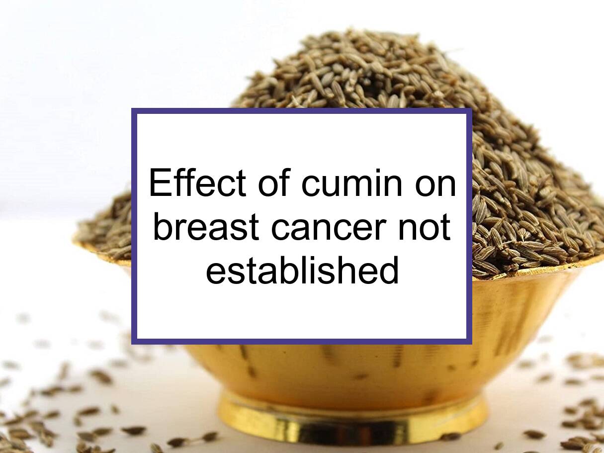 Studies Have Not Established The Effect Of Cumin On Breast Cancer