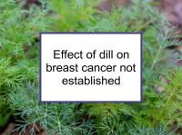 Effect of dill on breast cancer not established