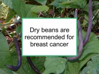 Dry beans are recommended for breast cancer