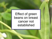 Effect of green beans on breast cancer not established