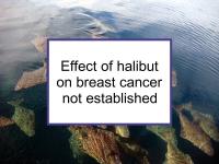 Effect of halibut on breast cancer not established