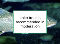 Lake trout is recommended for breast cancer in moderation