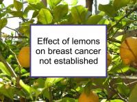 Effect of lemons on breast cancer not established
