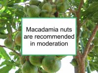 Effect of macadamia nuts on breast cancer not established