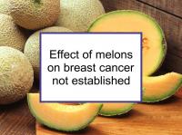 Effect of melons on breast cancer not established