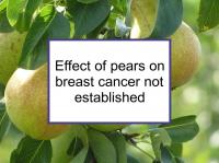 Effect of pears on breast cancer not established